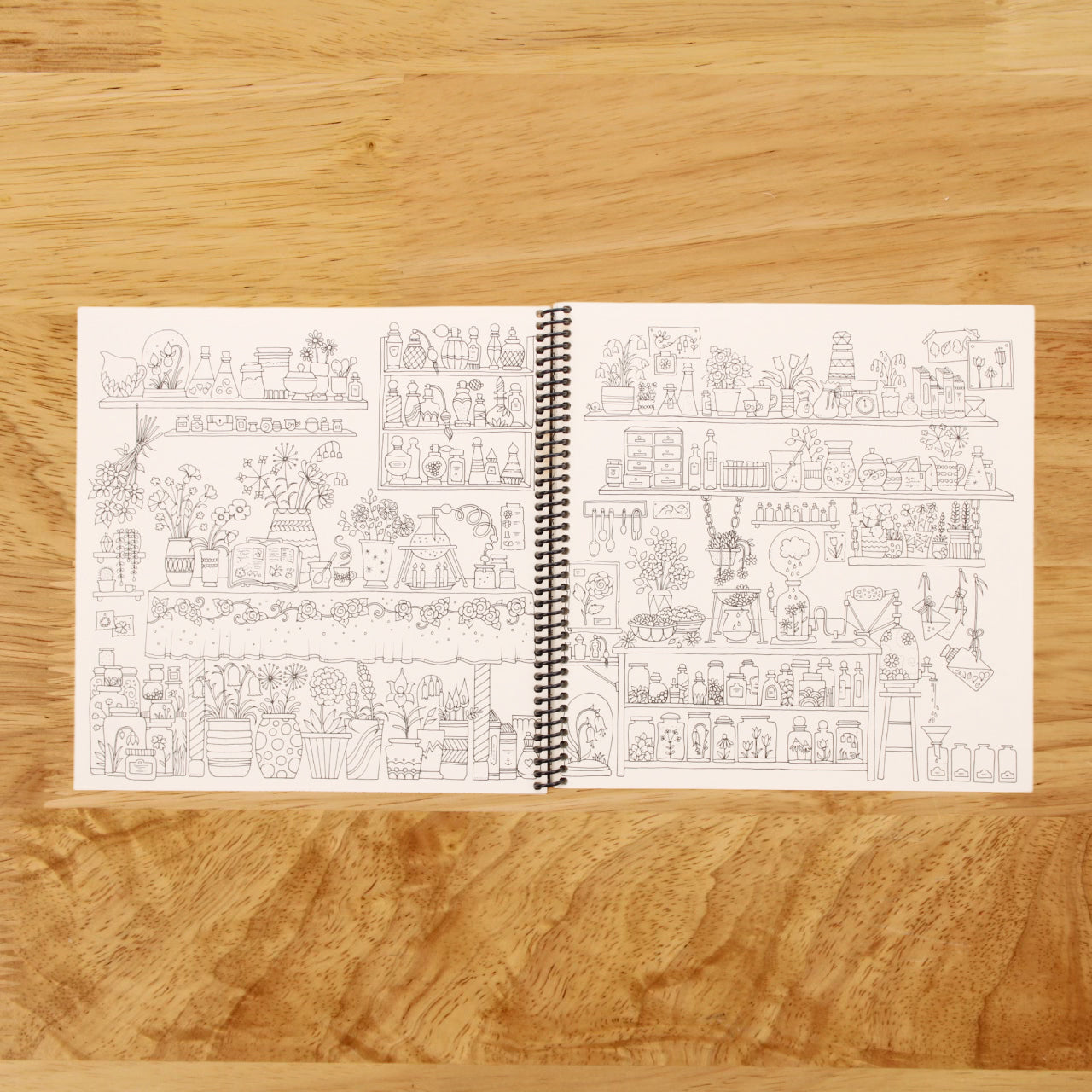 World of Flowers: A Coloring Book and Floral Adventure
