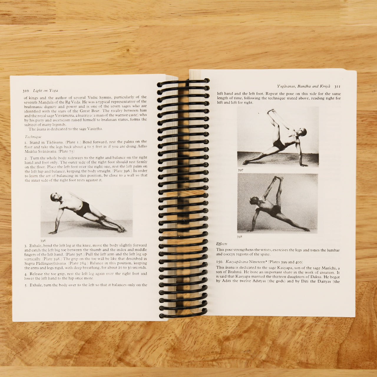 Light on Yoga: The Bible of Modern Yoga
