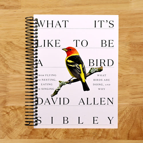 What It's Like to Be a Bird: From Flying to Nesting, Eating to Singing--What Birds Are Doing, and Why (Sibley Guides)