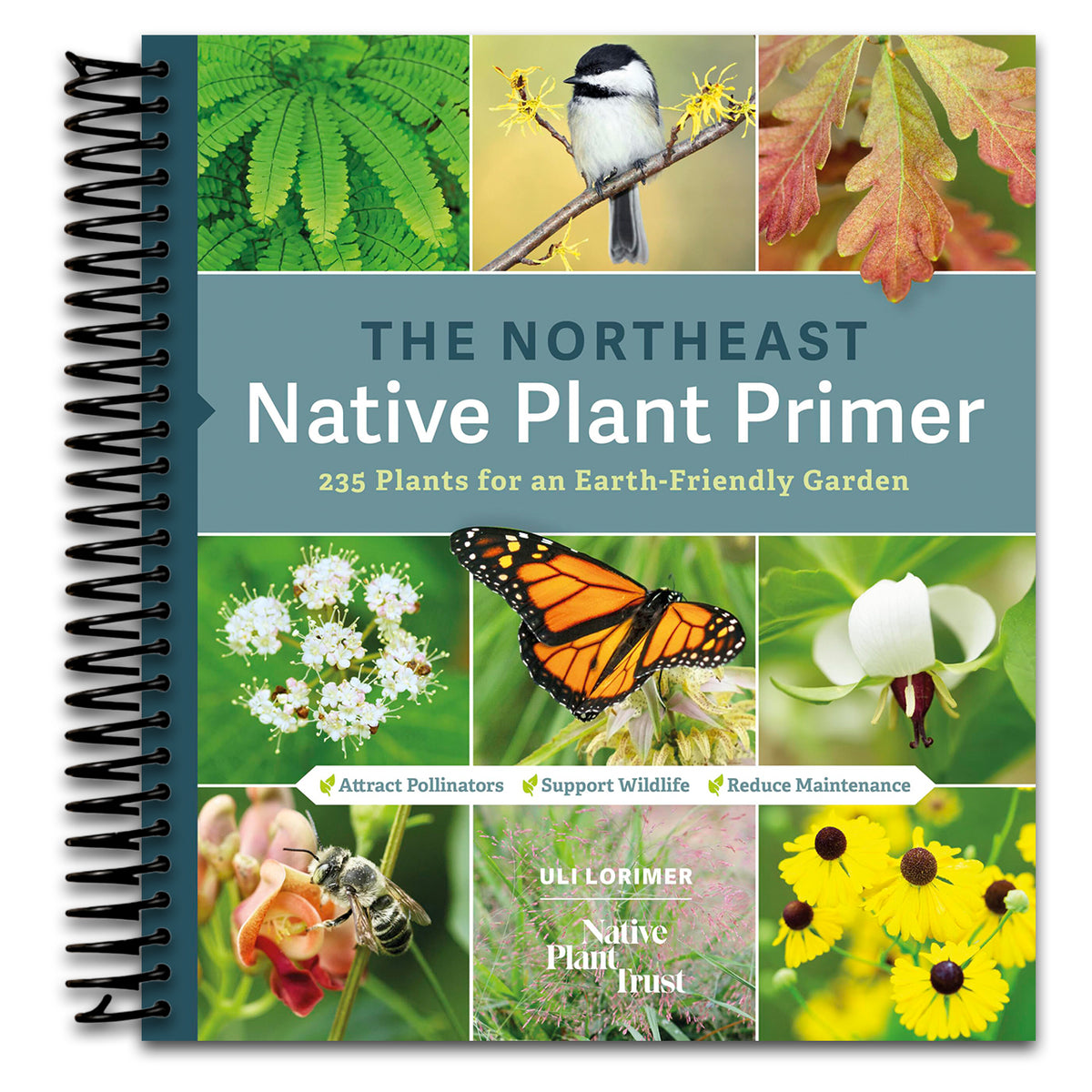 The Northeast Native Plant Primer: 235 Plants for an Earth-Friendly Garden (Spiral bound) Happy Coil spiral bound book