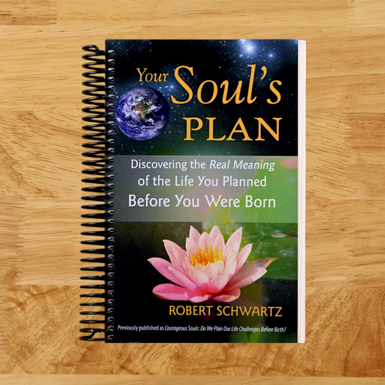 Your Soul's Plan: Discovering the Real Meaning of the Life You Planned Before You Were Born