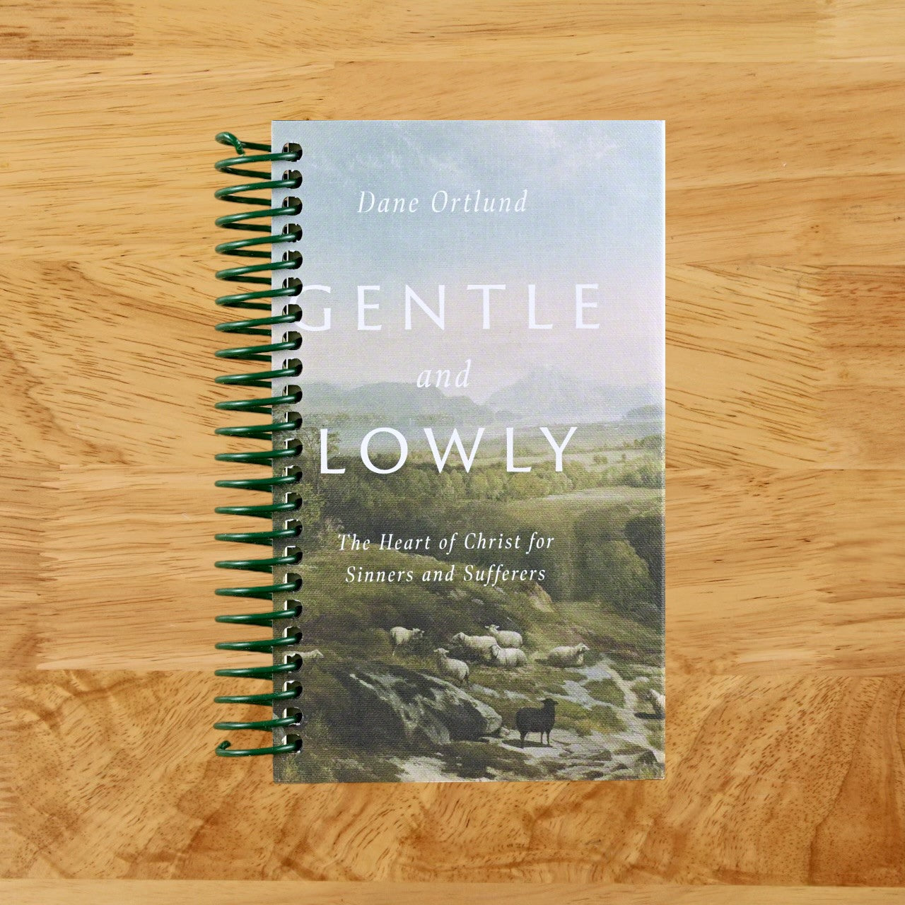 Gentle and Lowly: The Heart of Christ for Sinners and Sufferers