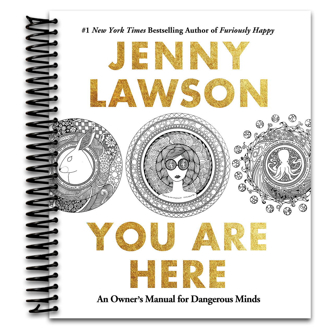 You Are Here: An Owner's Manual for Dangerous Minds (Spiral bound) Happy Coil spiral bound book