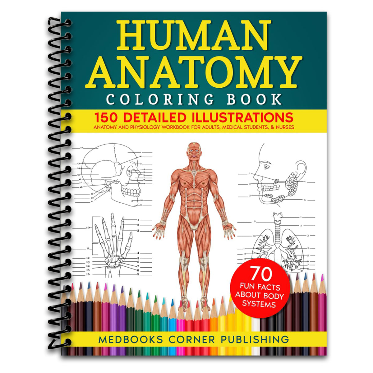 Human Anatomy Coloring Book: 150 Detailed Illustrations & 70 Fascinating Facts in an Anatomy and Physiology Workbook for Adults, Medical Students, & Nurses Focused on Advanced Body Systems Learning (Spiral bound) Happy Coil spiral bound book