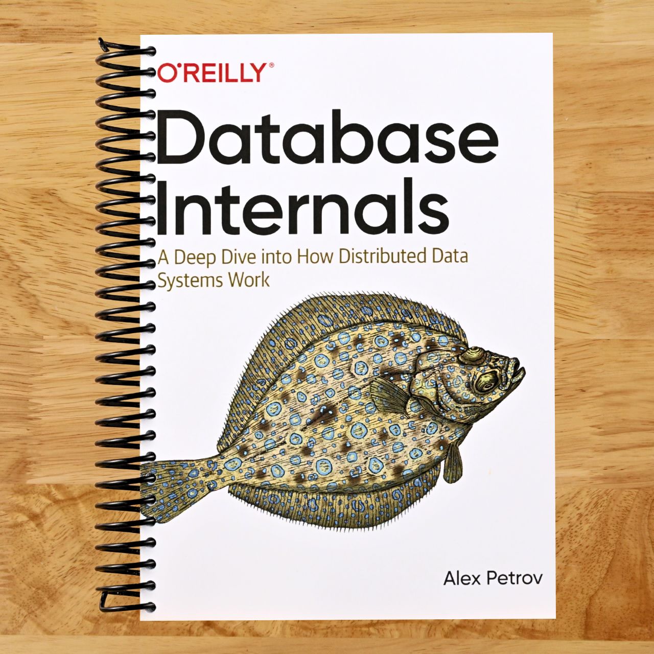 Database Internals: A Deep Dive into How Distributed Data Systems Work (Spiral bound) Happy Coil spiral bound book