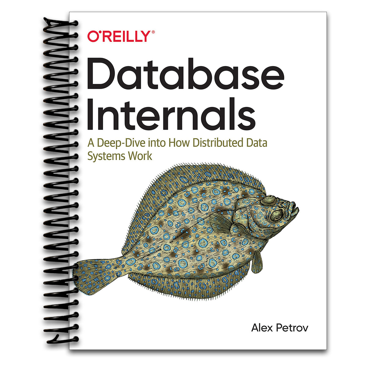 Database Internals: A Deep Dive into How Distributed Data Systems Work (Spiral bound)