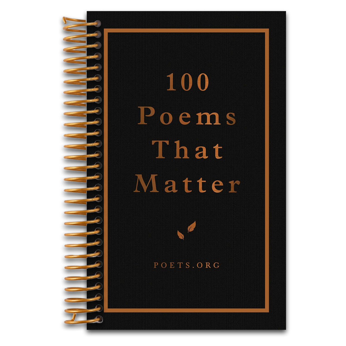 100 Poems That Matter (Spiral bound)