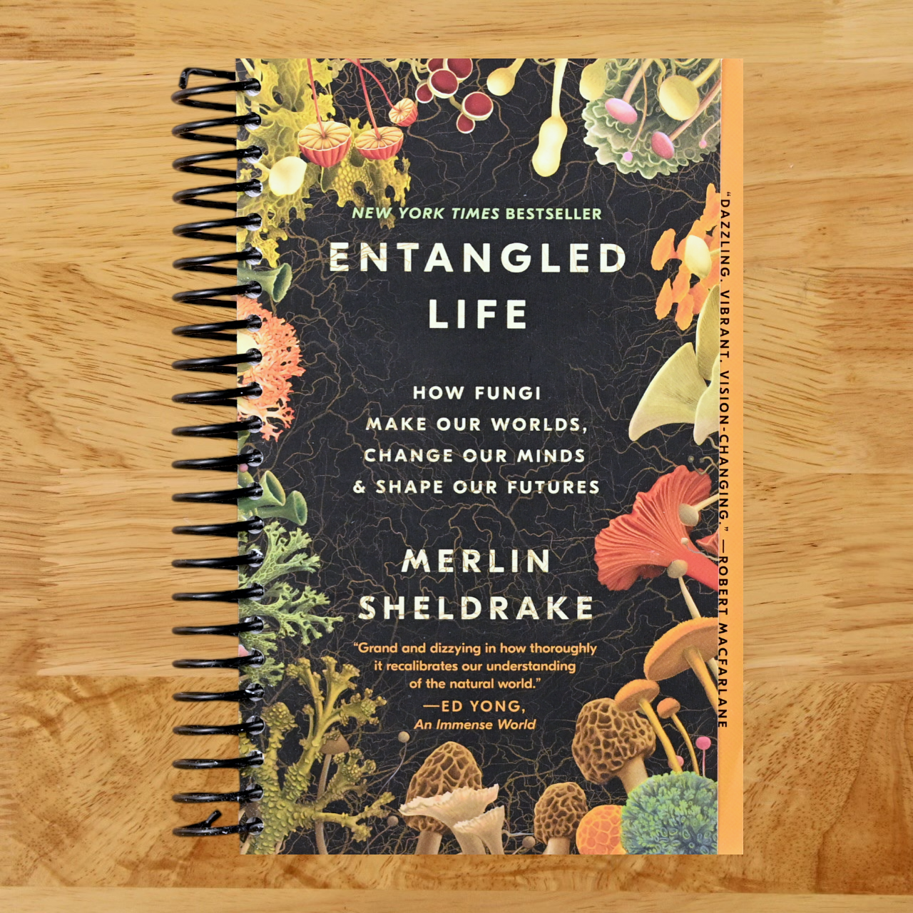 Entangled Life: How Fungi Make Our Worlds, Change Our Minds & Shape Our Futures (Spiral bound)