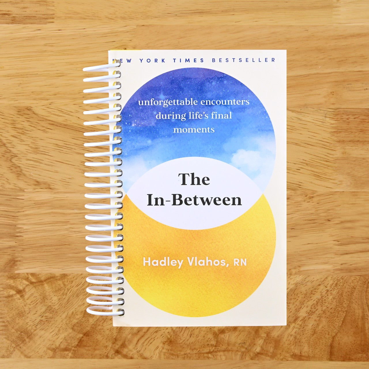 The In-Between: Unforgettable Encounters During Life's Final Moments