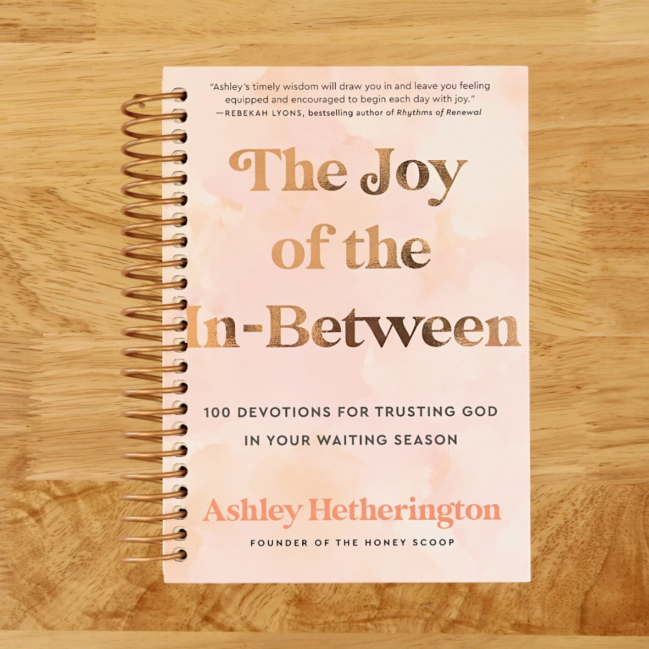 The Joy of the In-Between: 100 Devotions for Trusting God in Your Waiting Season: A Devotional