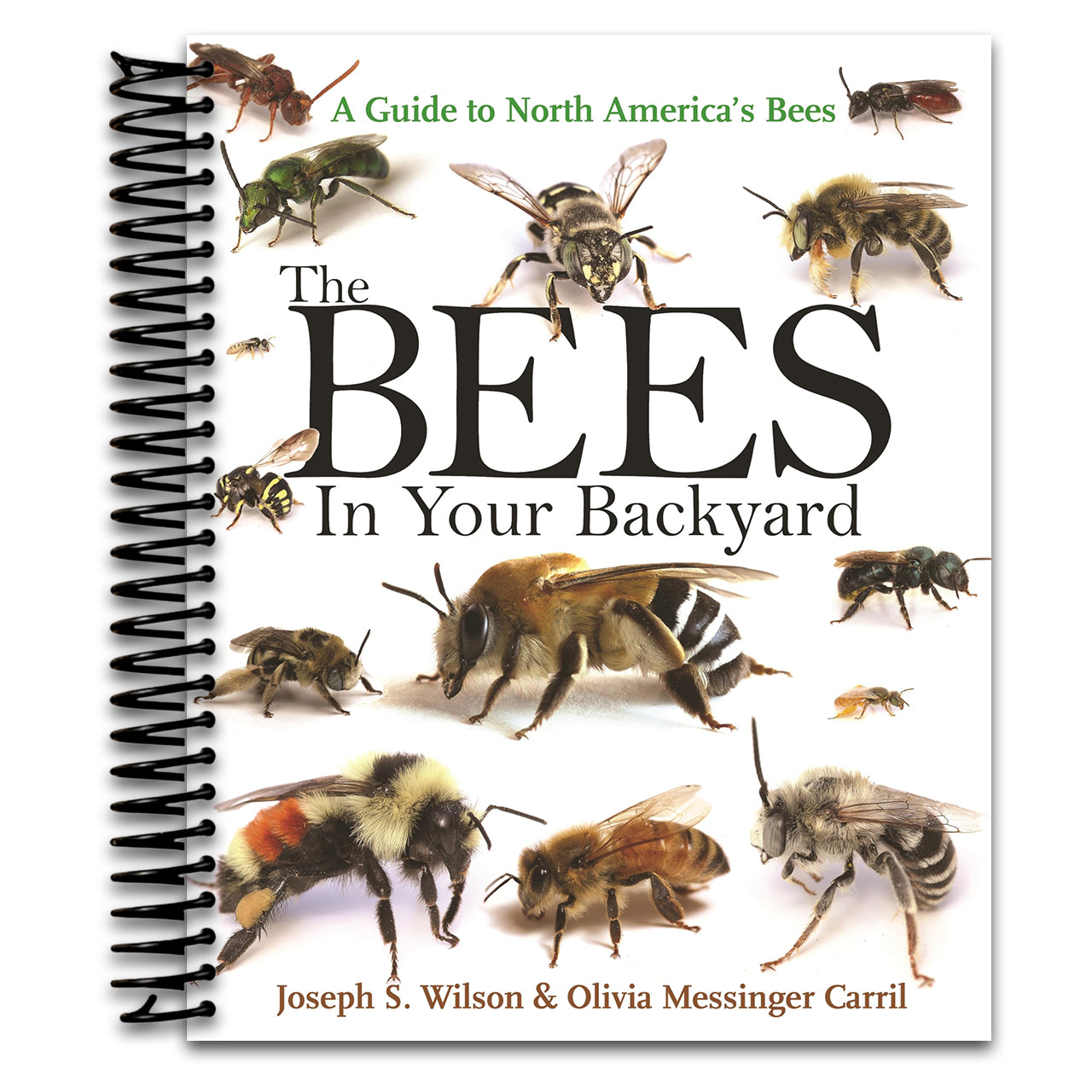 The Bees in Your Backyard: A Guide to North America's Bees (Spiral bound)