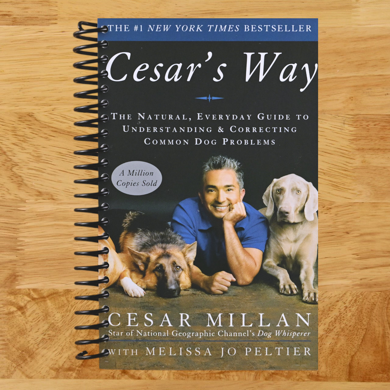 Cesar's Way: The Natural, Everyday Guide to Understanding & Correcting Common Dog Problems (Spiral bound) Happy Coil spiral bound book