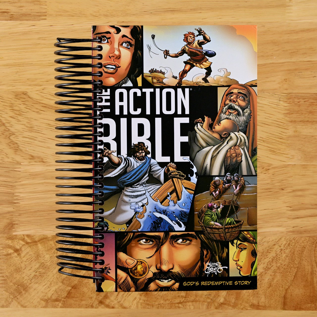 The Action Bible: God's Redemptive Story (Action Bible Series)