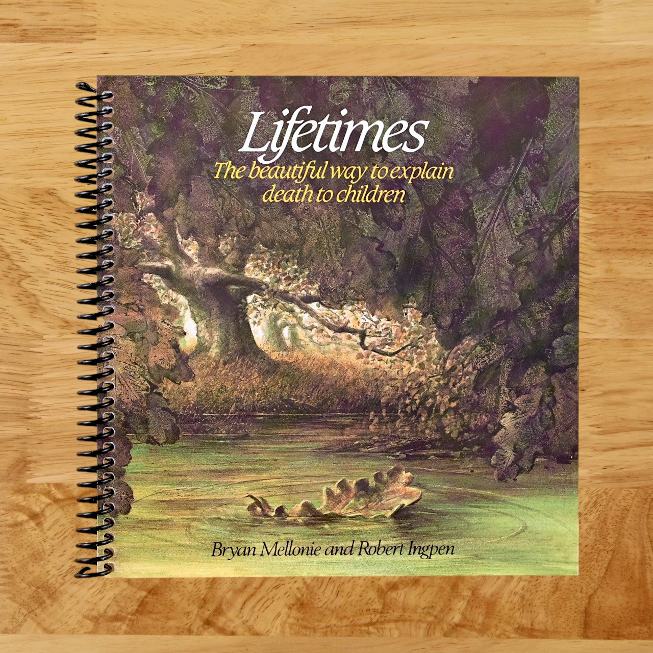 Lifetimes: The Beautiful Way to Explain Death to Children