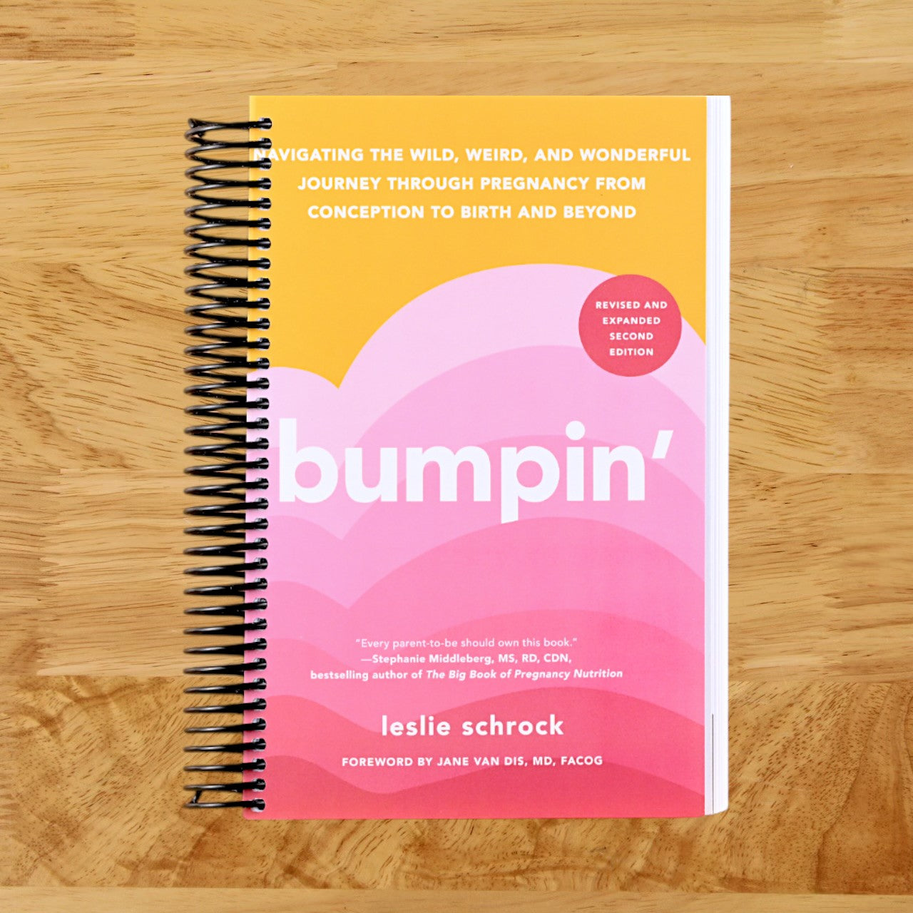 Bumpin': Navigating the Wild, Weird, and Wonderful Journey from Conception to Birth and Beyond, REVISED AND UPDATED