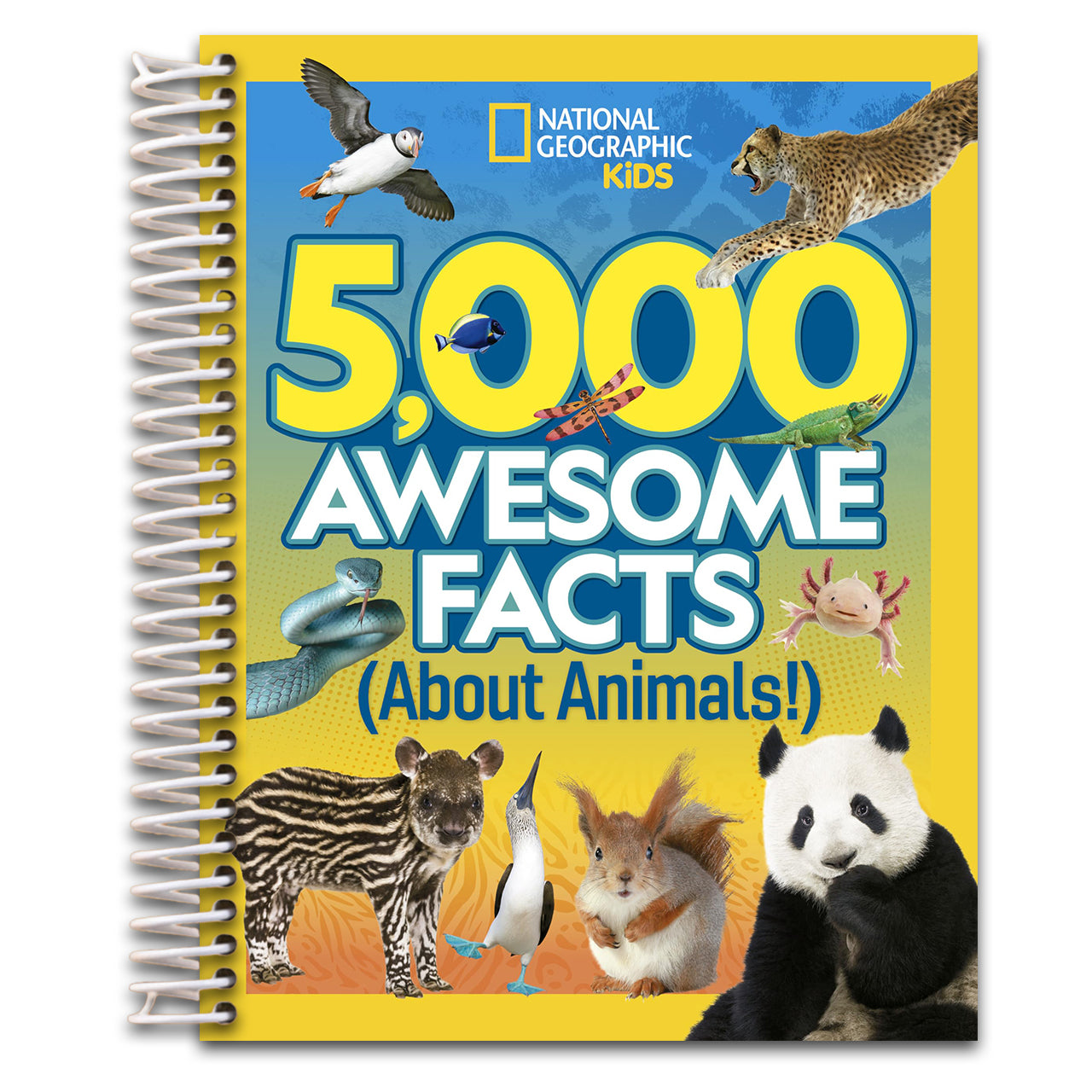5,000 Awesome Facts About Animals (Spiral bound) Happy Coil spiral bound book