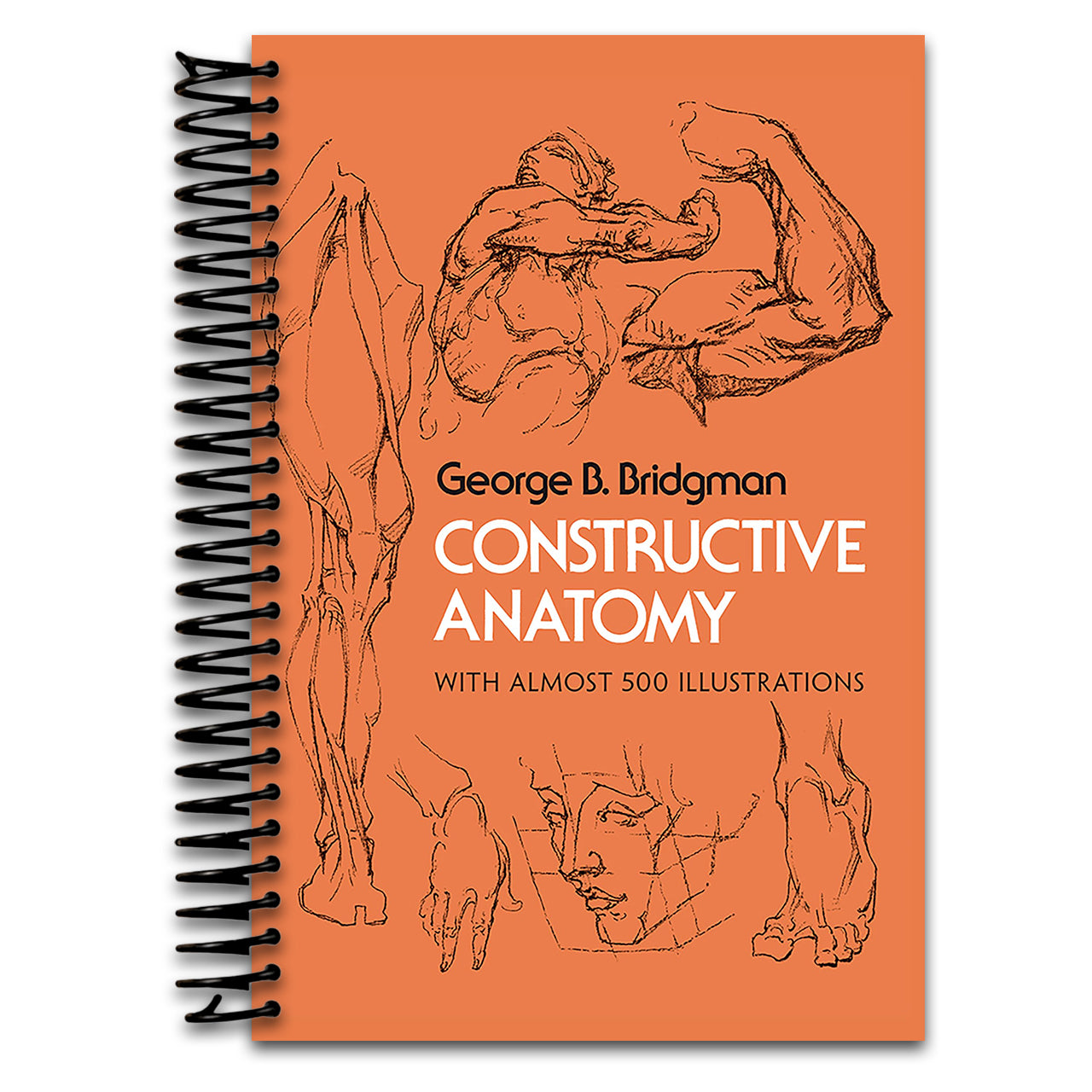 Constructive Anatomy: Includes Nearly 500 Illustrations (Dover Anatomy for Artists) (Spiral bound)