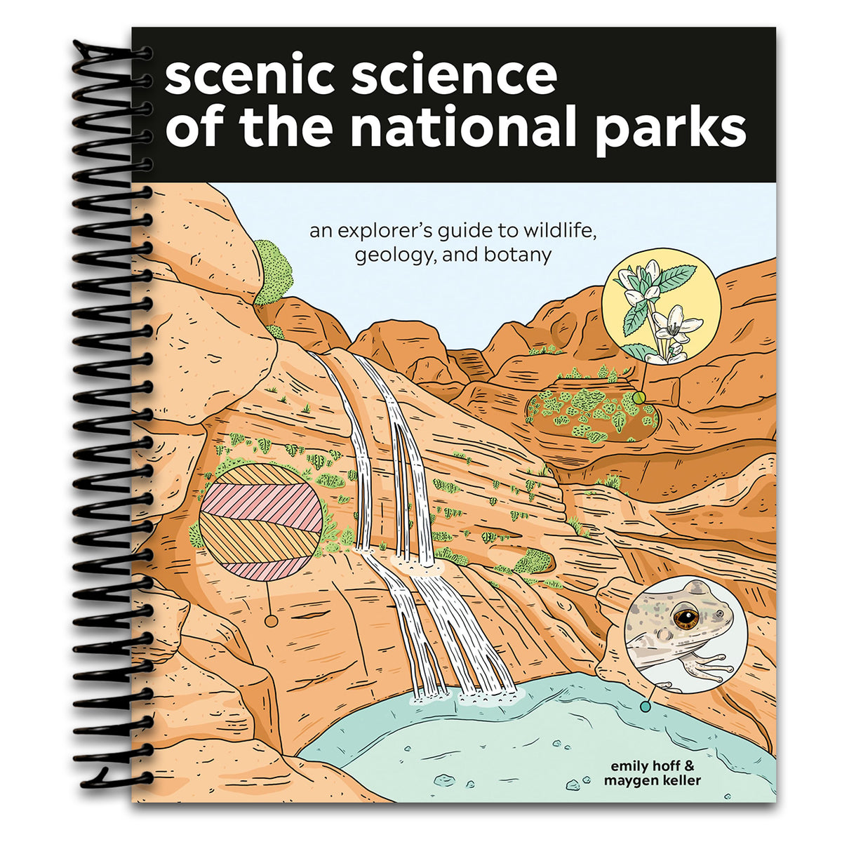 Scenic Science of the National Parks: An Explorer's Guide to Wildlife, Geology, and Botany (Spiral bound)