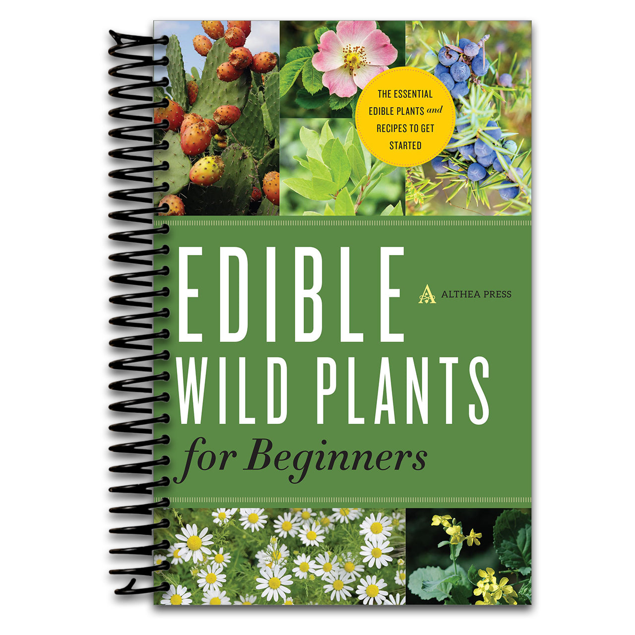 Edible Wild Plants for Beginners: The Essential Edible Plants and Recipes to Get Started