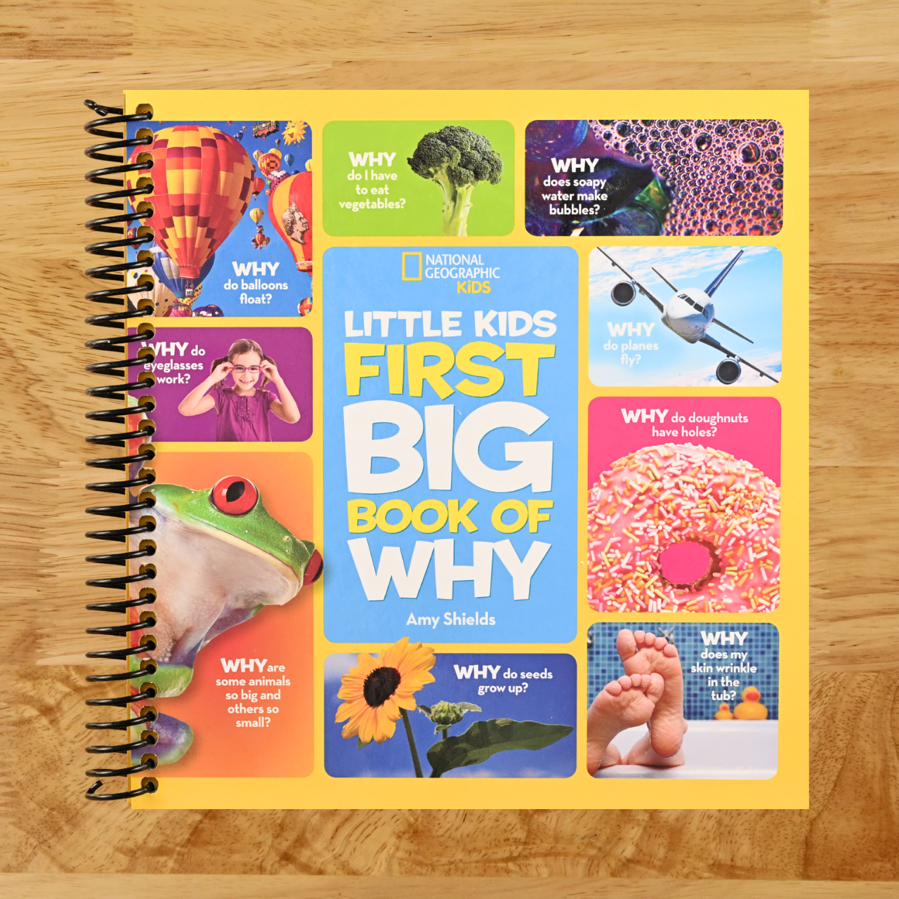 National Geographic Little Kids First Big Book of Why: Questions and Answers About the World for Curious Kids