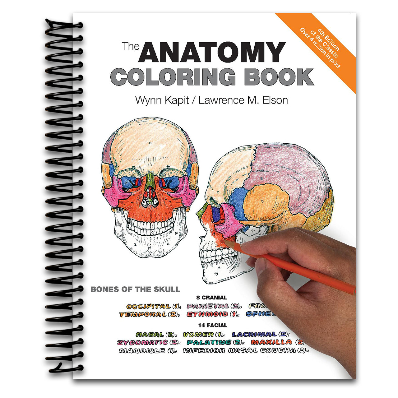 Anatomy Coloring Book