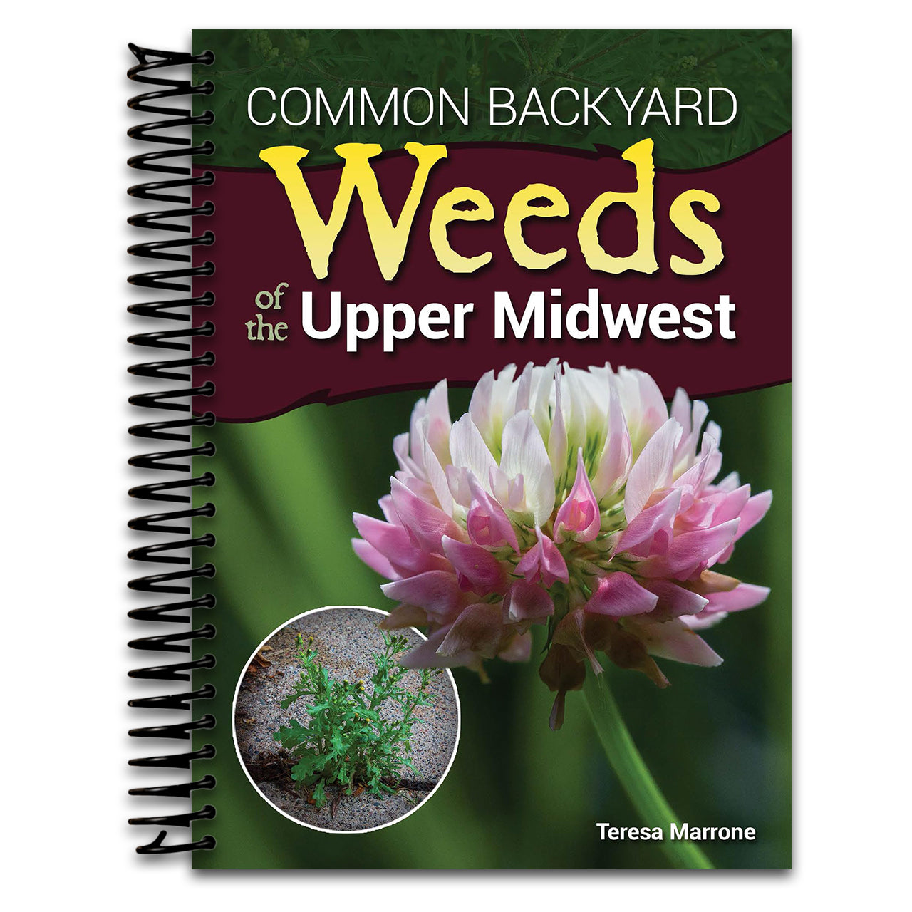 Common Backyard Weeds of the Upper Midwest (Spiral bound) Happy Coil spiral bound book