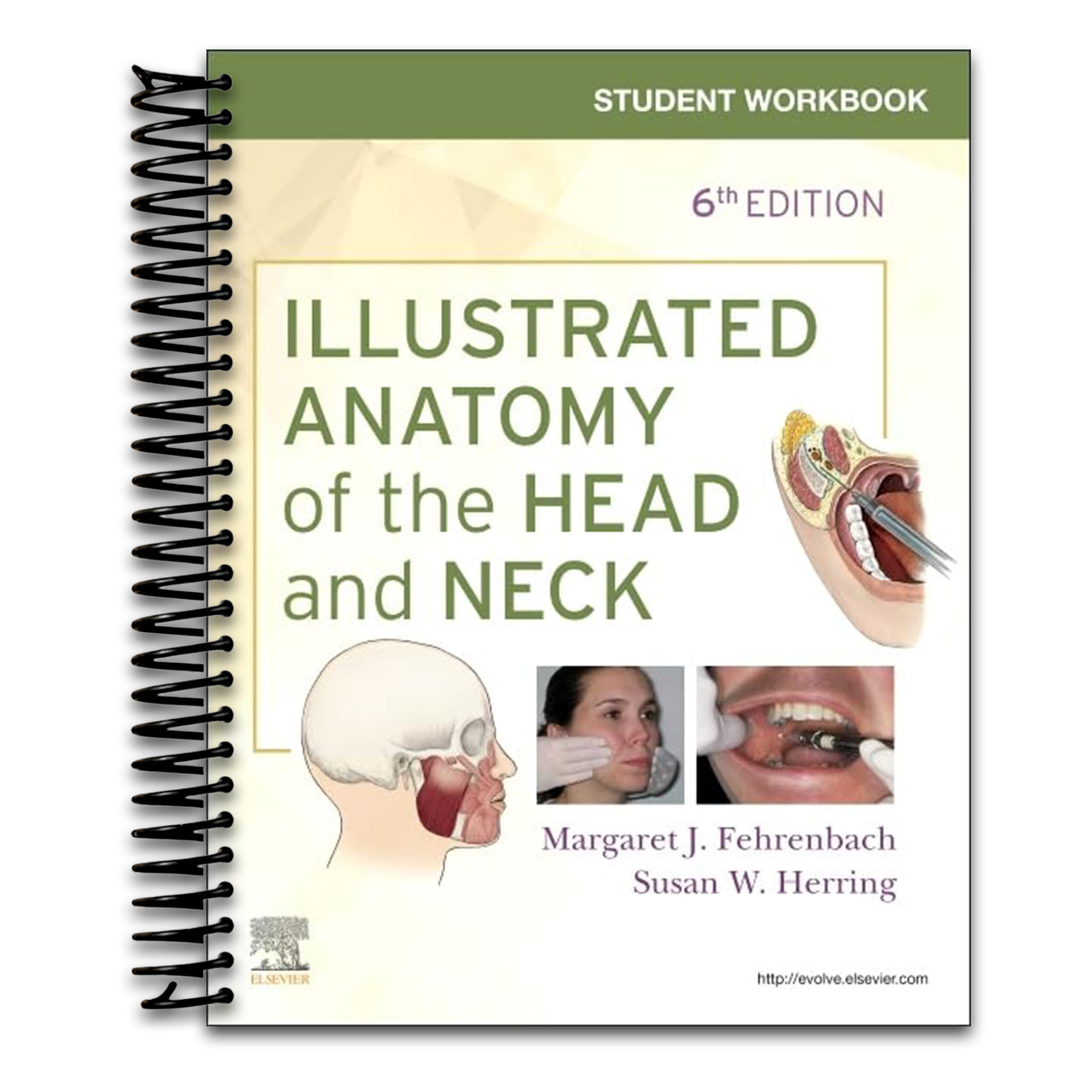 Student Workbook for Illustrated Anatomy of the Head and Neck (Spiral bound)