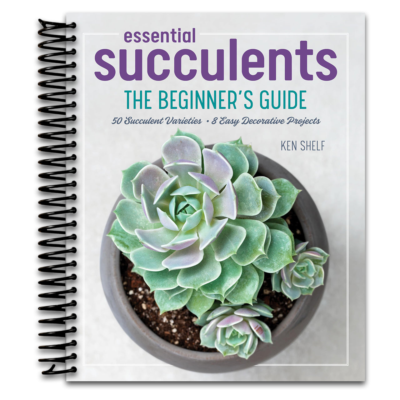 Essential Succulents: The Beginner's Guide