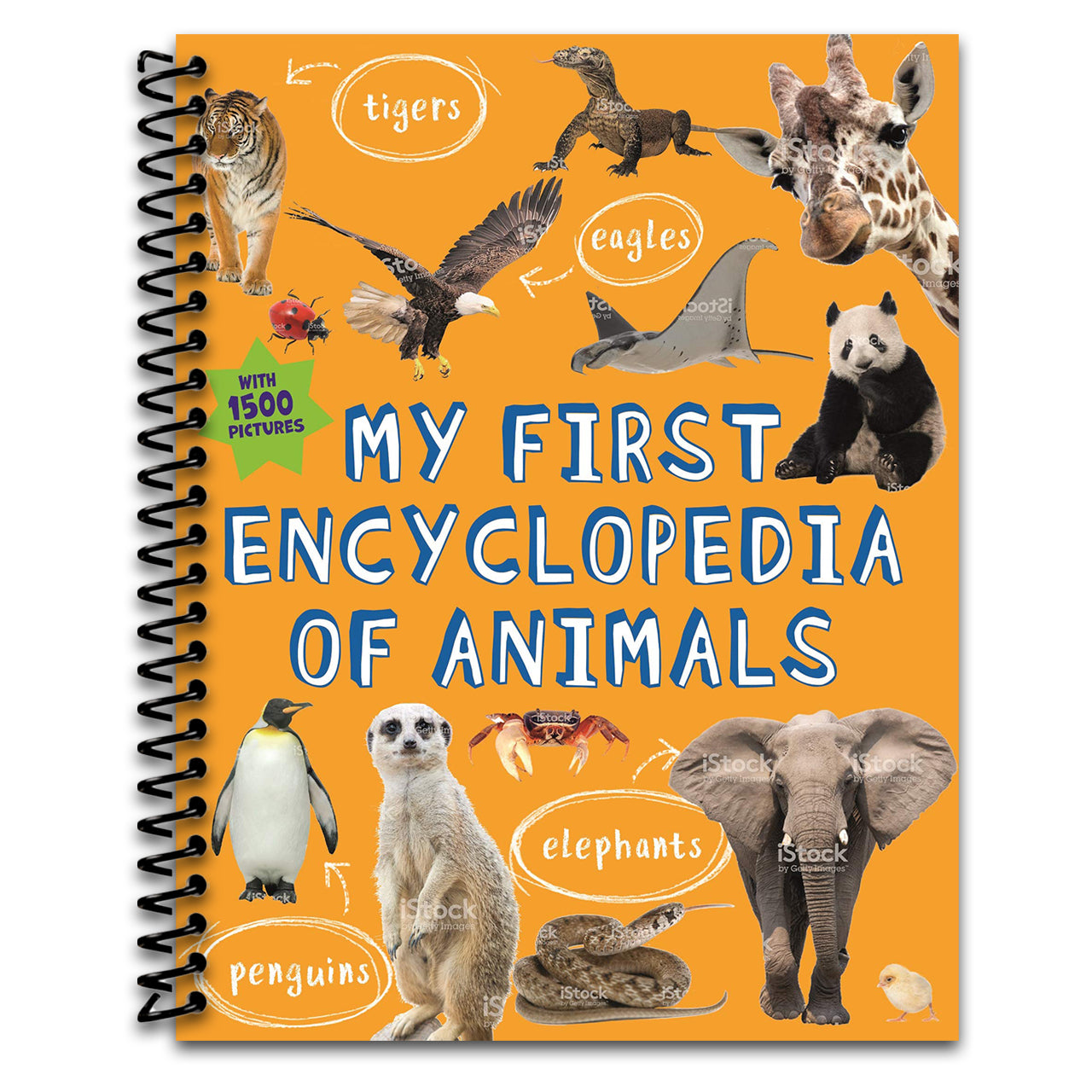 My First Encyclopedia of Animals (Kingfisher First Reference) (Spiral bound) Happy Coil spiral bound book