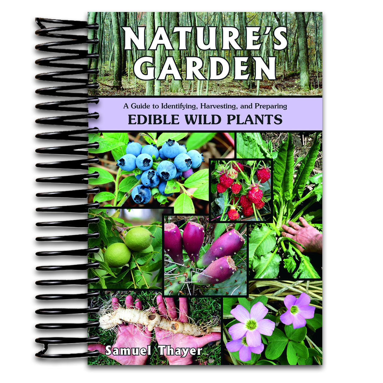 Nature's Garden: A Guide to Identifying, Harvesting, and Preparing Edible Wild Plants (Spiral bound) Happy Coil spiral bound book