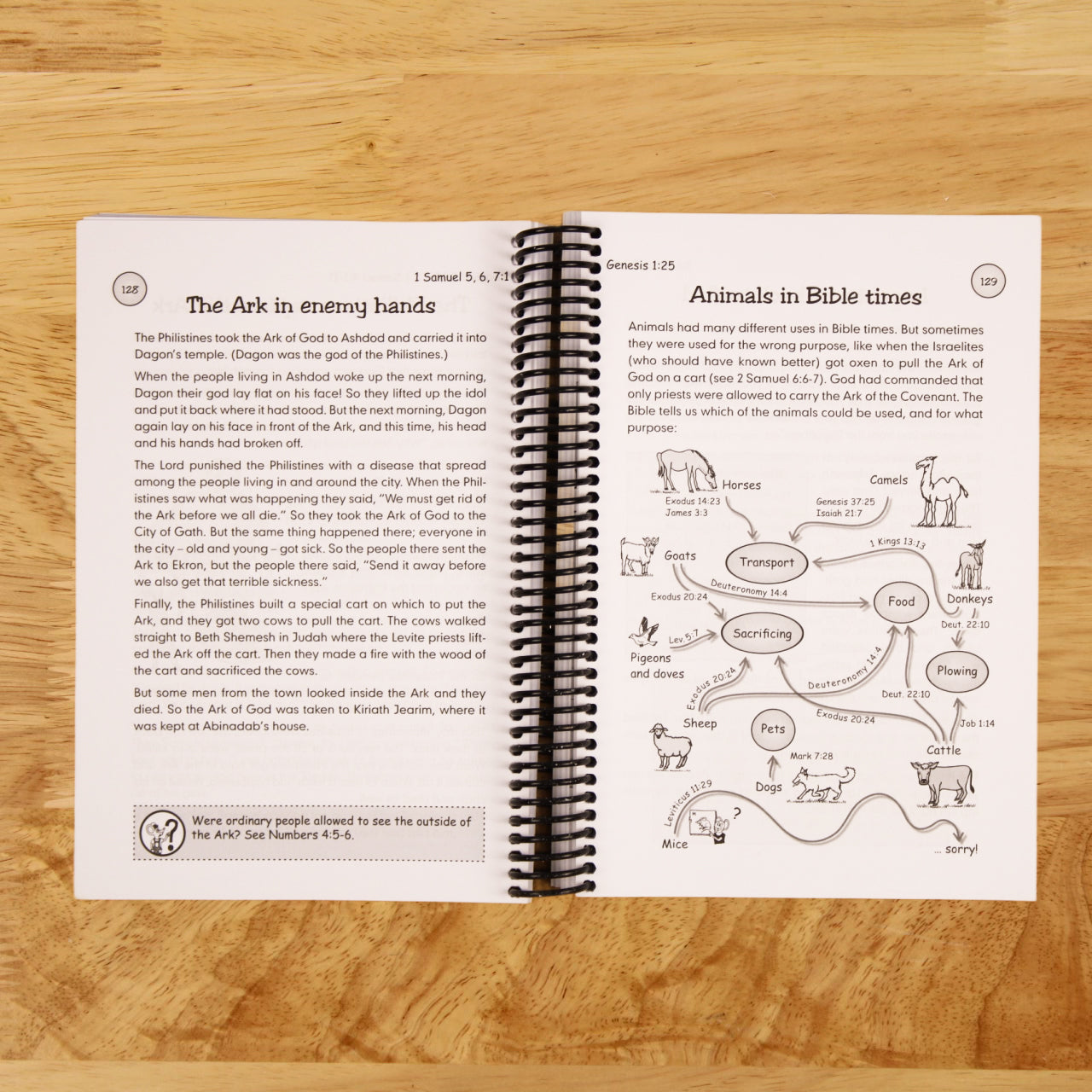 The Bible Made Easy - for Kids