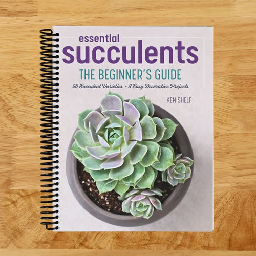 Essential Succulents: The Beginner's Guide