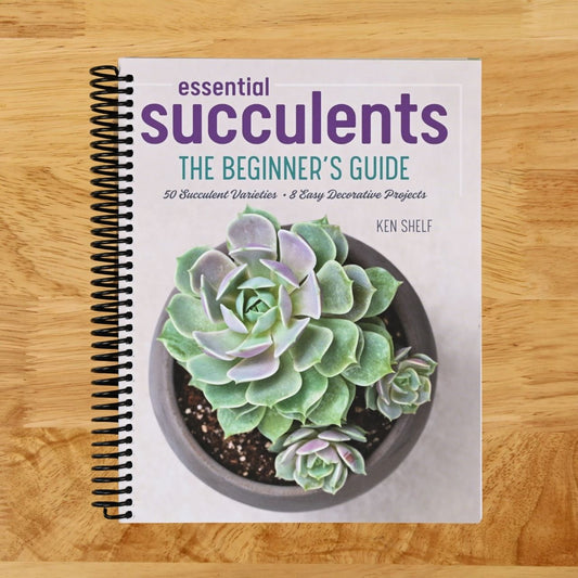 Essential Succulents: The Beginner's Guide