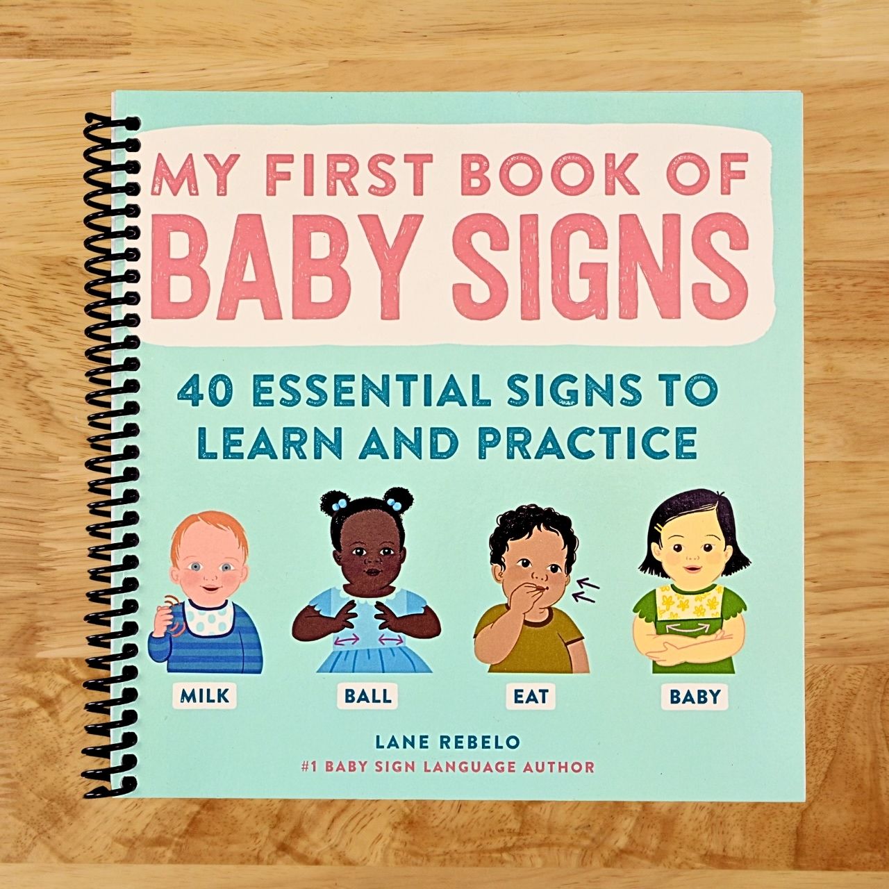 My First Book of Baby Signs: 40 Essential Signs to Learn and Practice