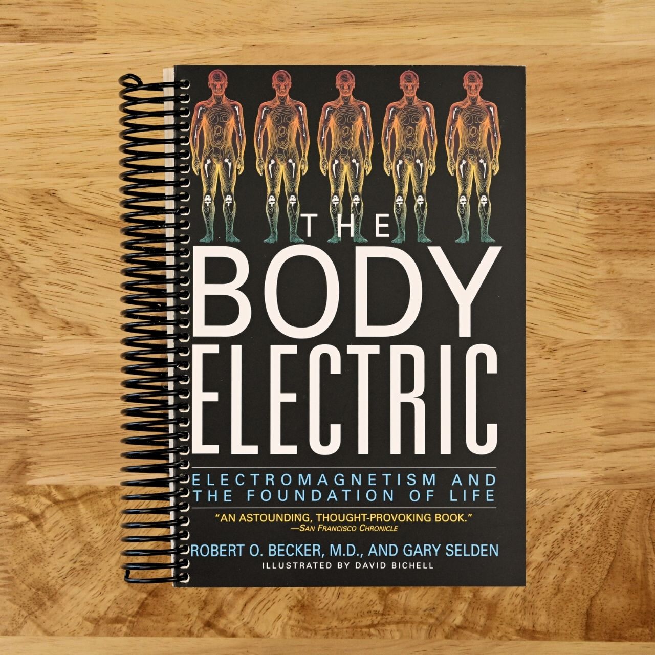 The Body Electric: Electromagnetism And The Foundation Of Life