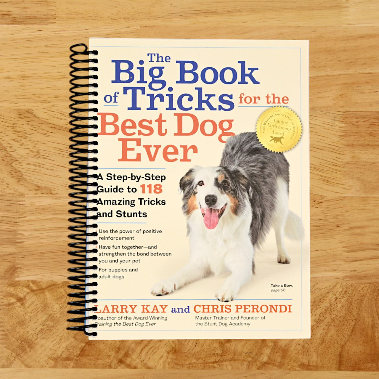 The Big Book of Tricks for the Best Dog Ever: A Step-by-Step Guide to 118 Amazing Tricks and Stunts