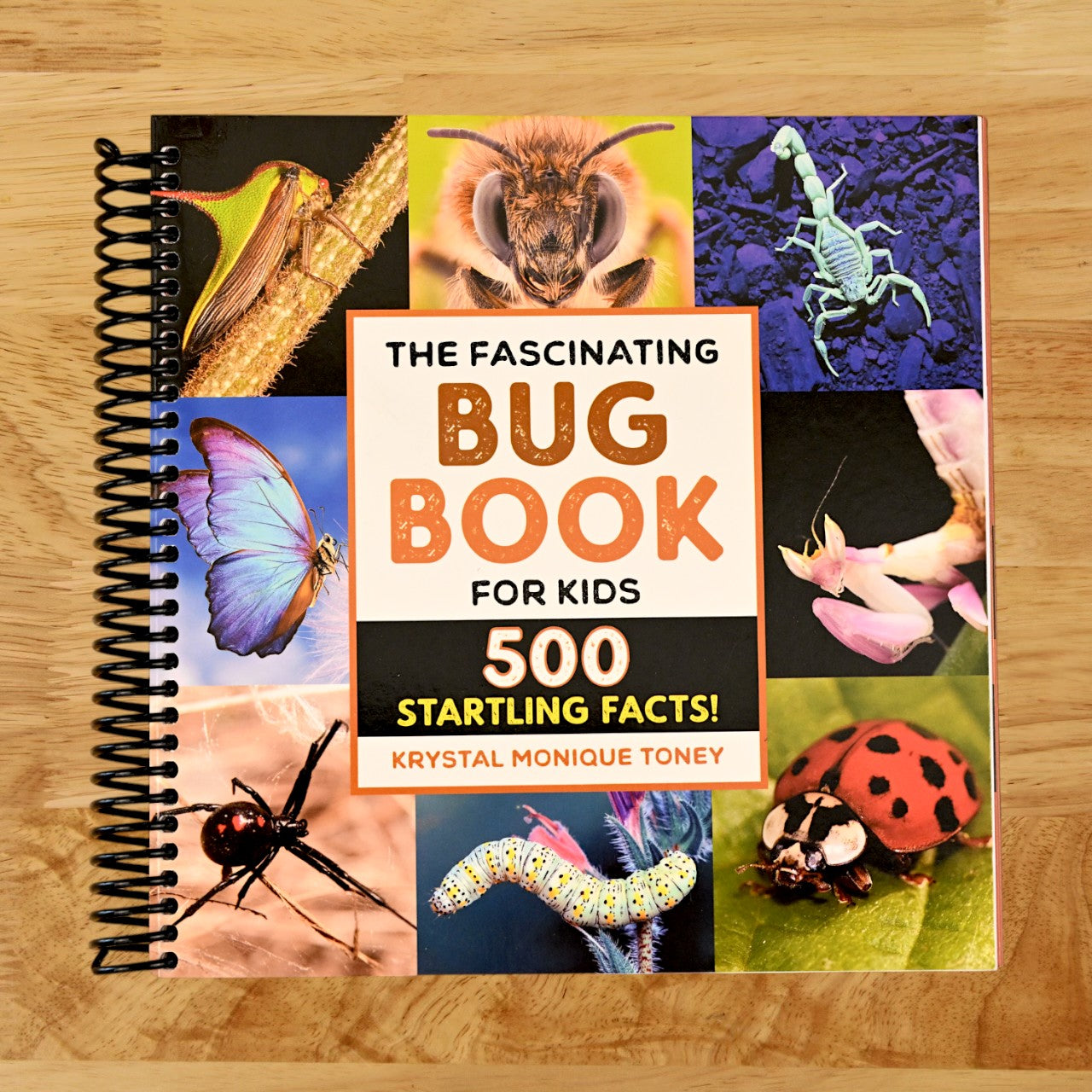 The Fascinating Bug Book for Kids: 500 Startling Facts! (Fascinating Facts)