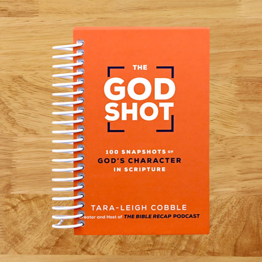 The God Shot: 100 Snapshots of God’s Character in Scripture (A Daily Bible Devotional and Study on the Attributes of God from Every Book in the New Testament)