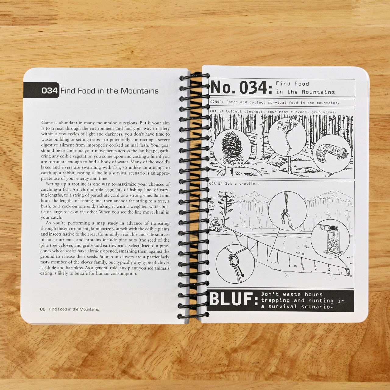 100 Deadly Skills: Survival Edition: The SEAL Operative's Guide to Surviving in the Wild and Being Prepared for Any Disaster