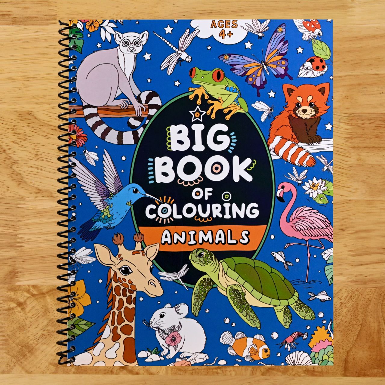 Big Book of Colouring: Animals: For Children Ages 4+ (Big Books of Colouring (Ages 4+)) (Spiral bound) Happy Coil spiral bound book