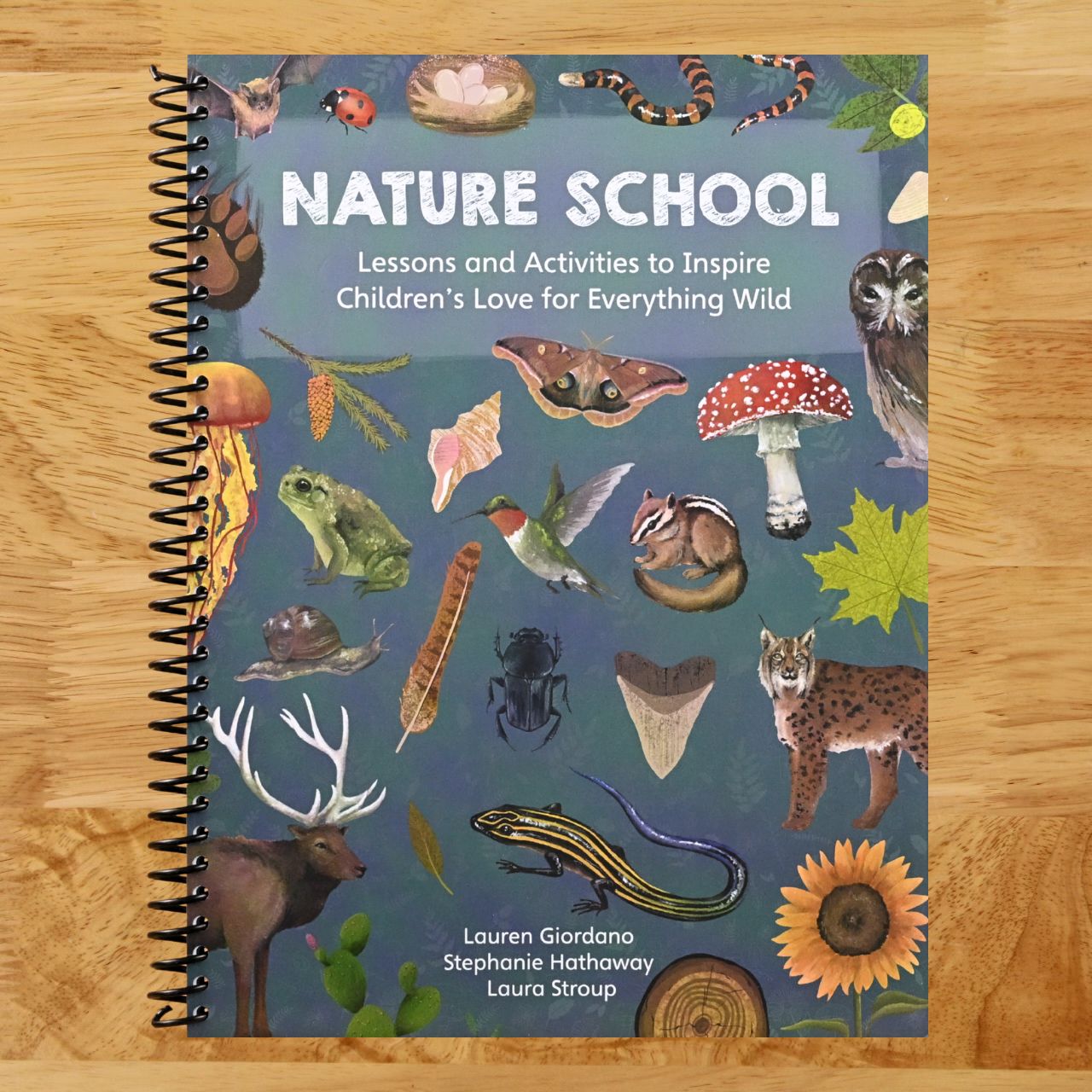 Nature School: Lessons and Activities to Inspire Children's Love for Everything Wild (Spiral bound) Happy Coil spiral bound book