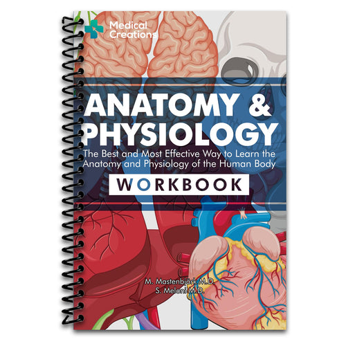 Anatomy & Physiology: The Best and Most Effective Way to Learn the Anatomy and Physiology of the Human Body: Workbook