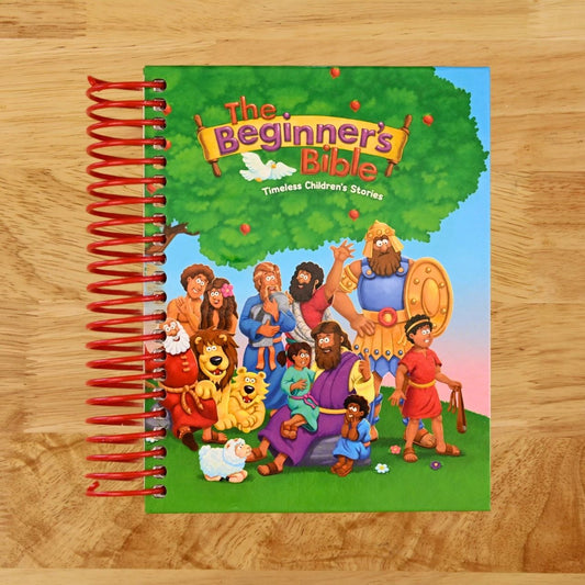 The Beginner's Bible: Timeless Children's Stories