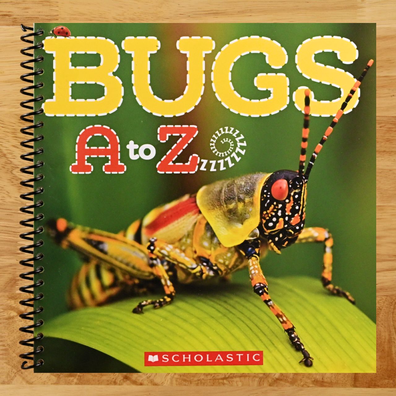 Bugs A to Z (Spiral bound) Happy Coil spiral bound book