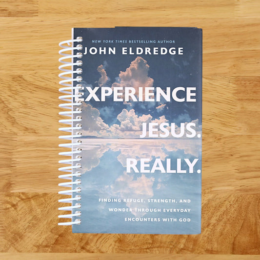 Experience Jesus. Really: Finding Refuge, Strength, and Wonder through Everyday Encounters with God