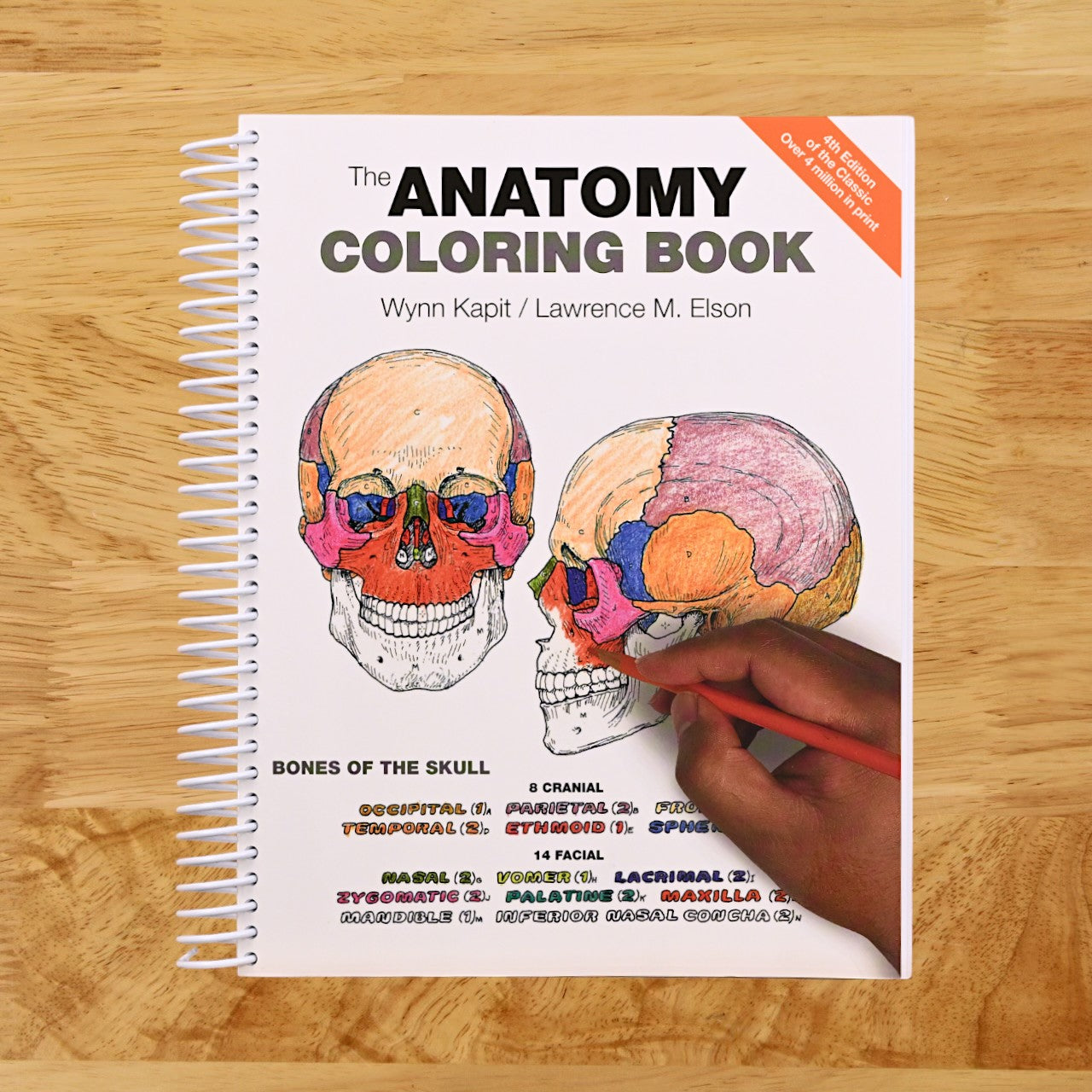 Anatomy Coloring Book, The  (Spiral bound)
