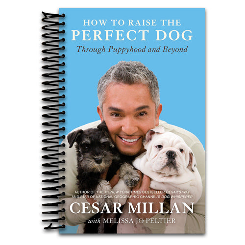 How to Raise the Perfect Dog: Through Puppyhood and Beyond  (Spiral bound)