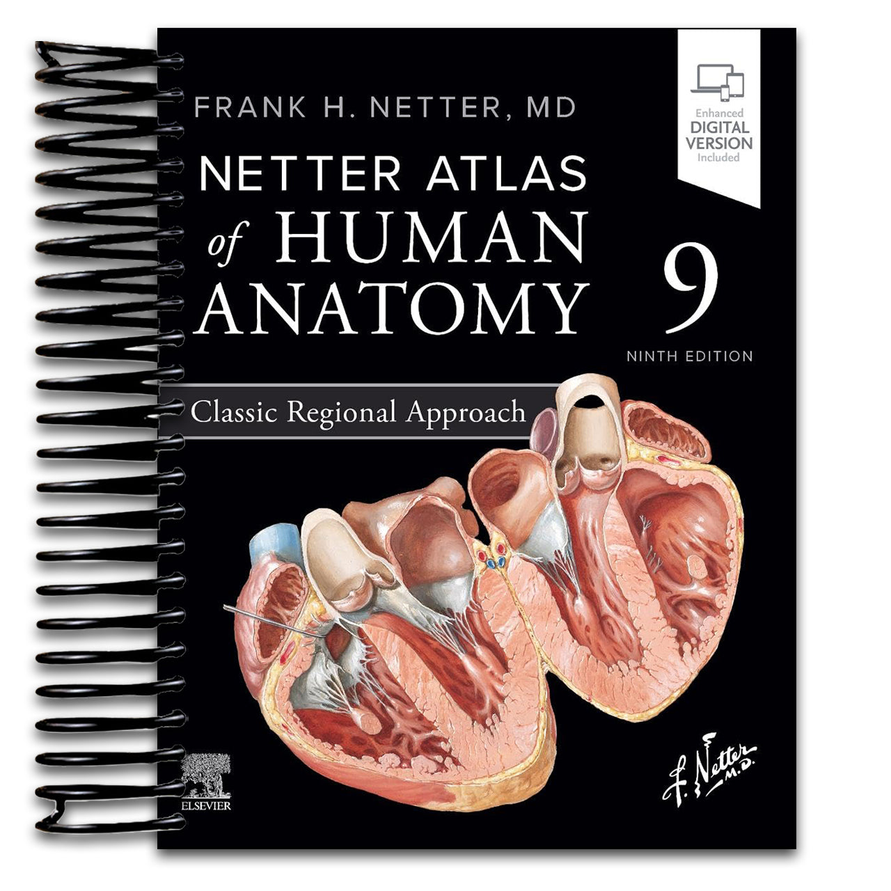 Netter Atlas of Human Anatomy: Classic Regional Approach (Netter Basic Science) (Spiral bound) Happy Coil spiral bound book