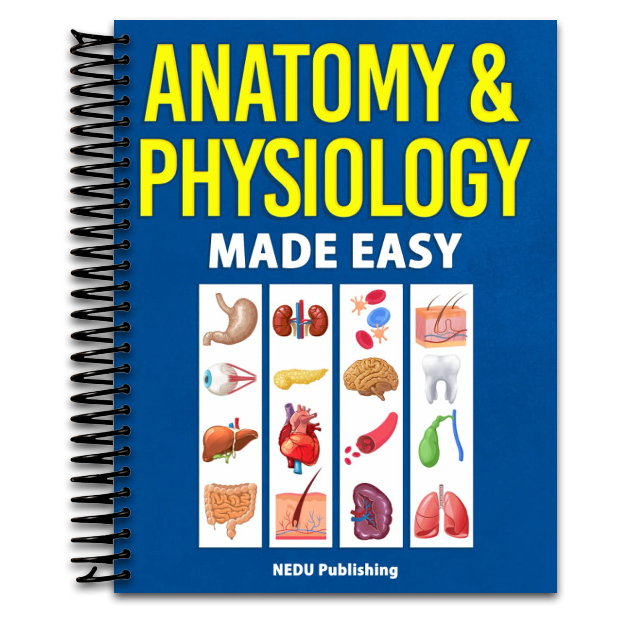 Anatomy & Physiology Made Easy: An Illustrated Study Guide for Students To Easily Learn Anatomy and Physiology   (Spiral bound)
