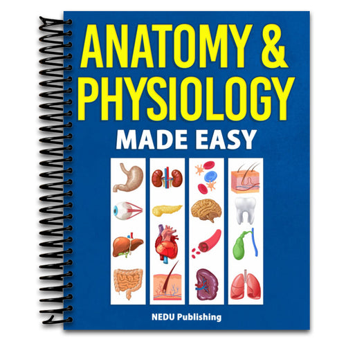 Anatomy & Physiology Made Easy: An Illustrated Study Guide for Students To Easily Learn Anatomy and Physiology   (Spiral bound)